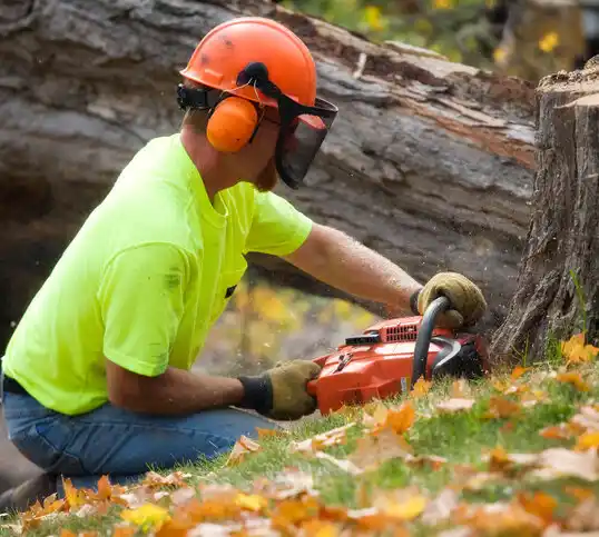 tree services Emily